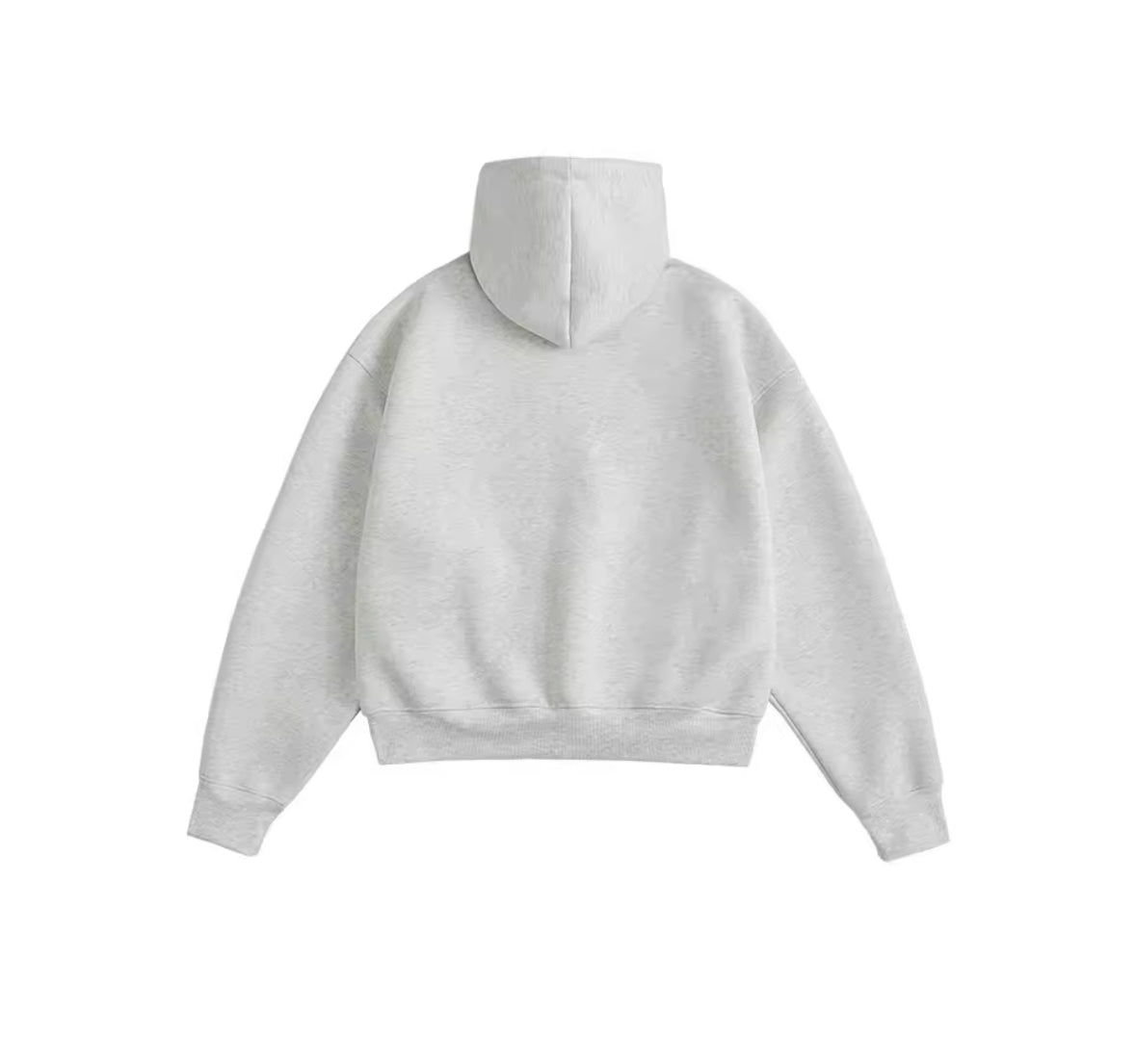 More Alive (M) Grey Hoodie 📩