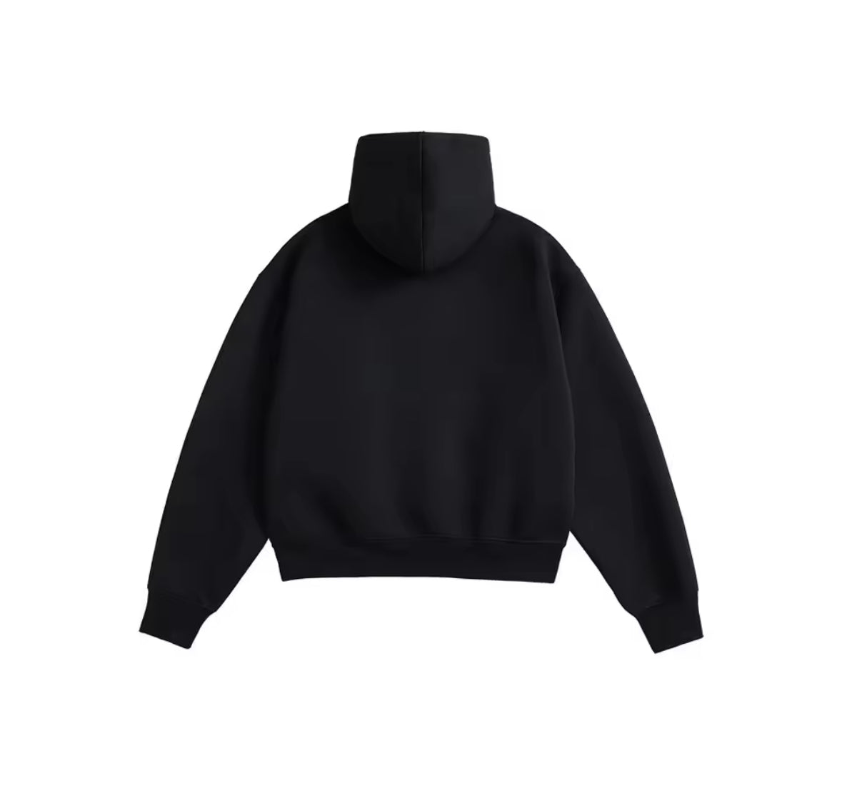 More Alive (L) Black Hoodie 📩