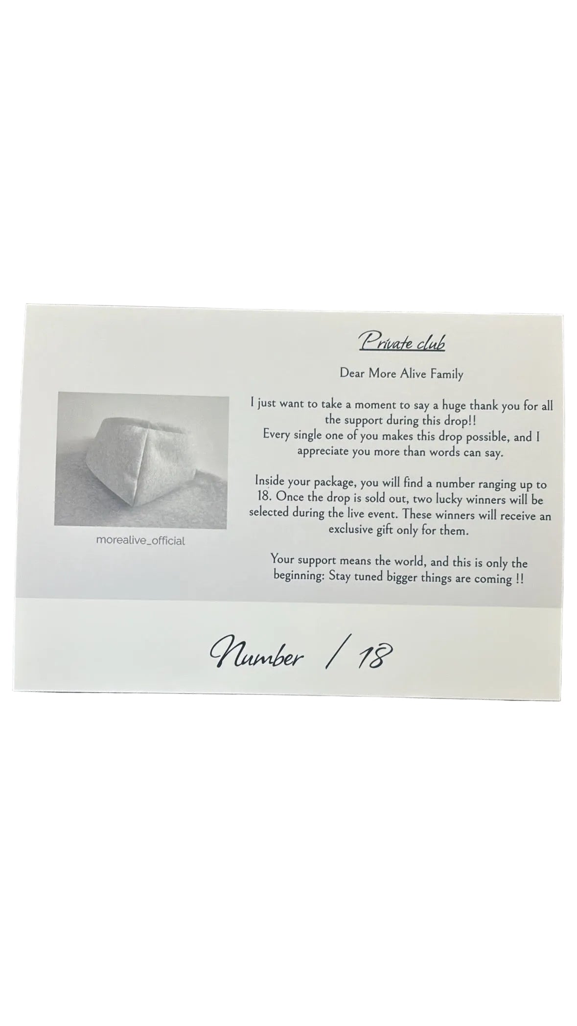 More Alive (M) Light Grey Hoodie 📩